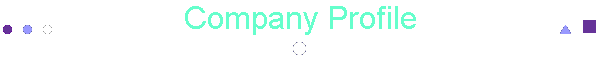 Company Profile